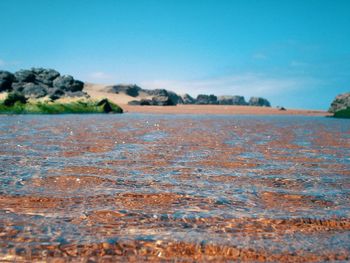 Surface level of land against clear blue sky