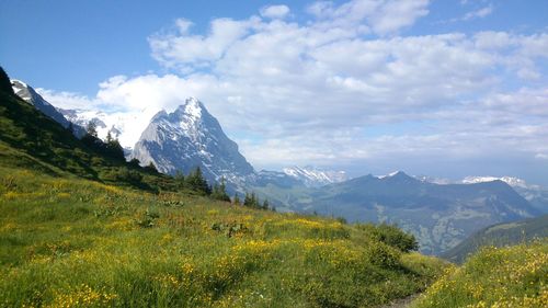 Scenic view of grassy field by mountains against sky