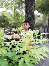 Portrait of boy on tree trunk