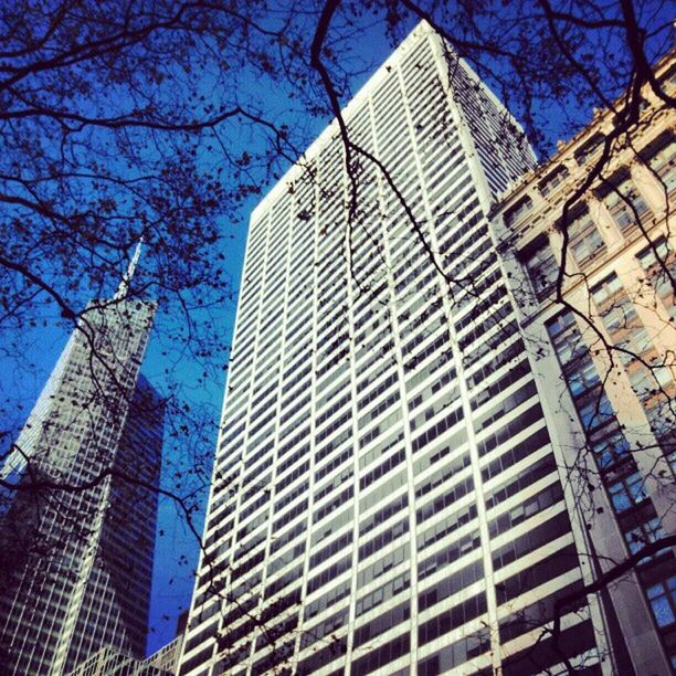 building exterior, architecture, built structure, skyscraper, low angle view, modern, city, tall - high, tower, office building, building, glass - material, financial district, sky, tree, blue, reflection, growth, capital cities, tall