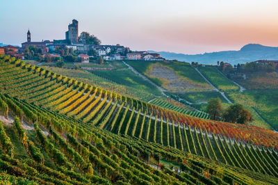 Scenic view of vineyard against sky