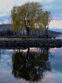 Reflection of trees in lake against sky