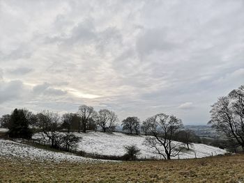 Trees on field against sky during winter