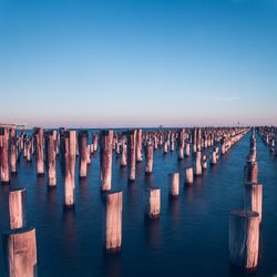 Wooden posts at sea against clear sky