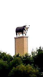 Low angle view of horse against clear sky