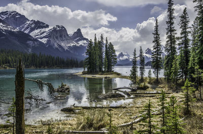 Scenic view of lake by trees against sky