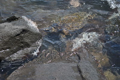 High angle view of rocks in water