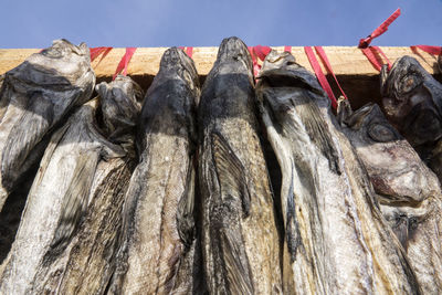 Low angle view of clothes drying against sky