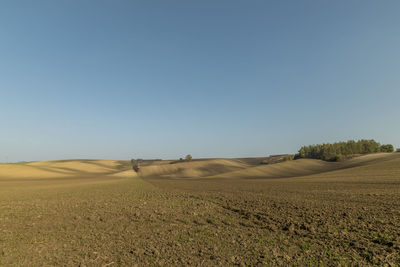 Scenic view of field against clear sky