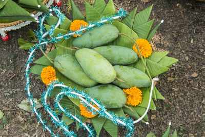 High angle view of fruits growing in basket