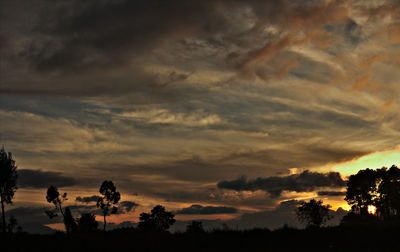 Silhouette of trees against cloudy sky