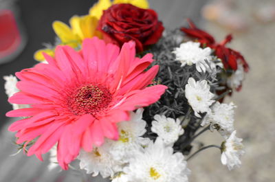 Close-up of flowers blooming outdoors