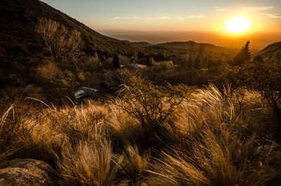 Scenic view of field against sky during sunset