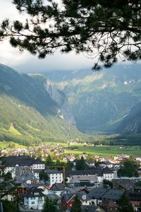 High angle view of houses and trees in town