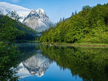 Scenic view of lake by trees against sky