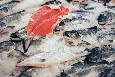 Close-up of fish for sale