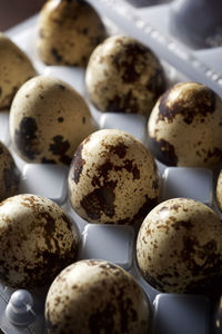 Quail eggs in a plastic box.