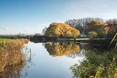 Scenic view of lake by trees against sky