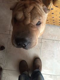 Low section of man standing in front of tiled floor