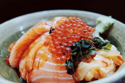 Close-up of seafood served in plate