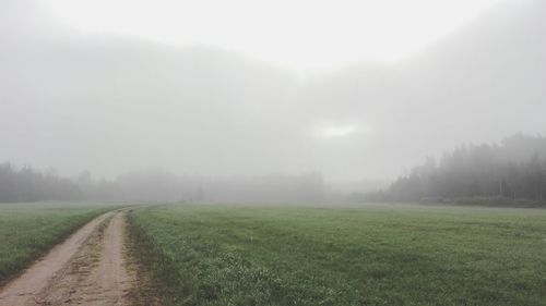 Dirt road on grassy field during foggy weather