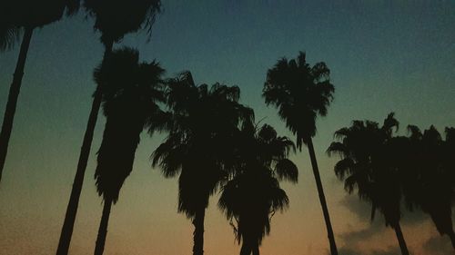 Silhouette palm trees against sky during sunset