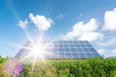 Low angle view of plants growing on field against sky