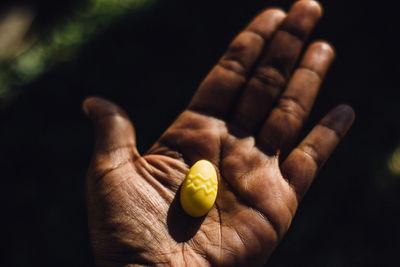 Cropped image of hand holding yellow rose