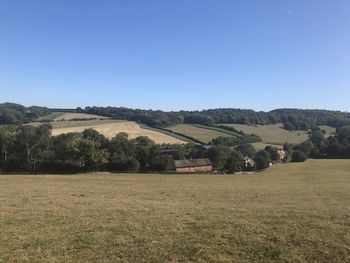 Scenic view of field against clear blue sky