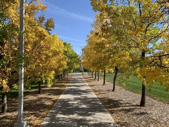 Footpath amidst trees in park during autumn