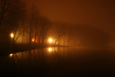 Silhouette bare trees by lake against sky at night