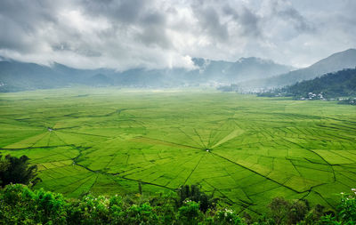 Scenic view of agricultural field against sky