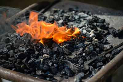 Close-up of bonfire on wood