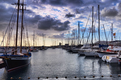 Sailboats moored in harbor