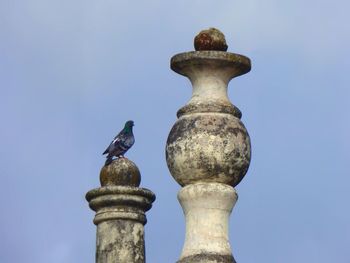 Low angle view of bird perching on statue against clear sky