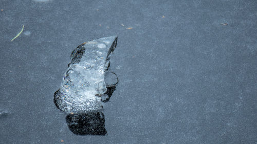 Close-up of ice on water