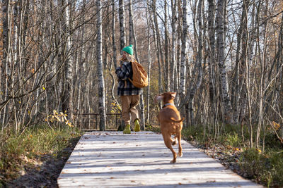 Rear view of woman walking in forest