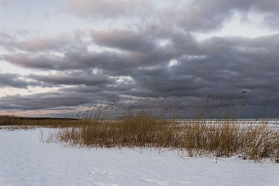 Scenic view of snow covered field against sky