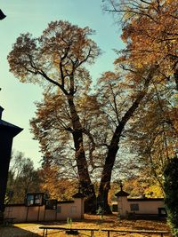 Low angle view of silhouette tree by building against sky