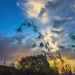 sky