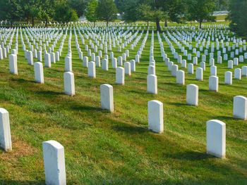 Row of tombstones in cemetery