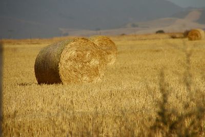 Hay bales on field against sky