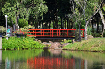 Bridge over canal in park