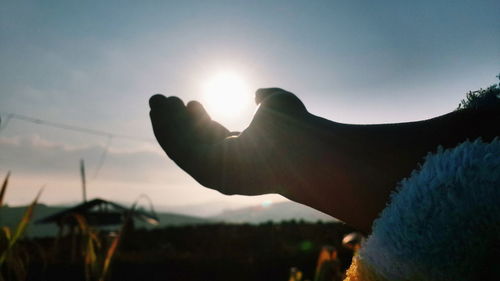 Close-up of silhouette hand against sky during sunset