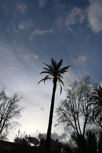 Low angle view of silhouette palm trees against sky