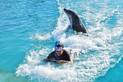 Portrait of cheerful woman swimming with dolphin in sea at harbor island