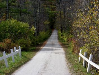 Footpath amidst trees in forest