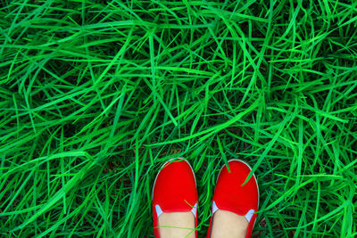 Low section of woman standing on grass