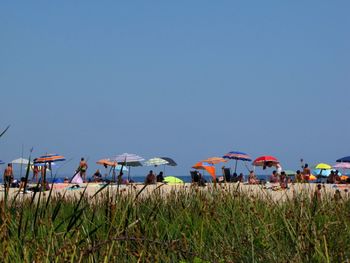 People on field against clear sky