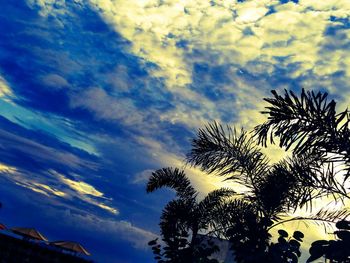 Low angle view of trees against cloudy sky